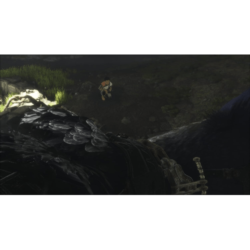 THE LAST GUARDIAN PS4 PL USED THE LAST GUARDIAN PS4 PL USED